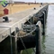 Le cône Marine Dock Fender BV CCS de dîner de la défense de durée de longue durée a approuvé